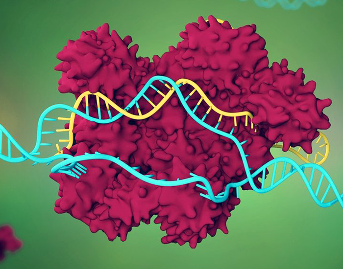 RNA-Cas9